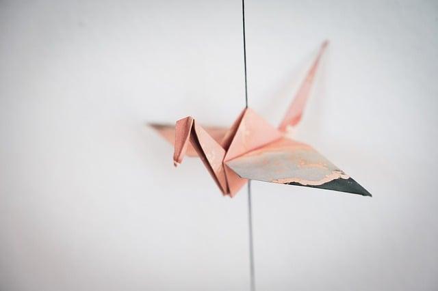 Origami z bankovek jako originální svatební dárek